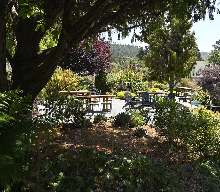 Cafe Beaujolais garden