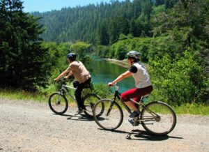 Catch A Canoe & Bicycles Too