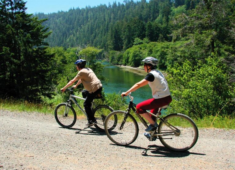 Catch A Canoe & Bicycles Too