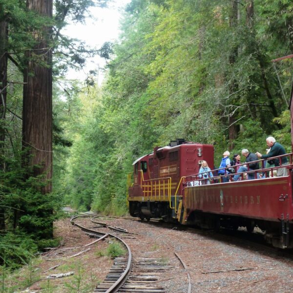 Skunk-Train-winding-through-the-redwoods-hi-res-e1484594063138.jpg