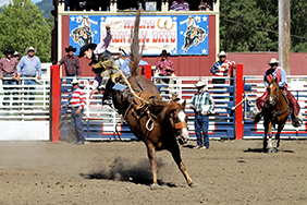 Willits Frontier Days