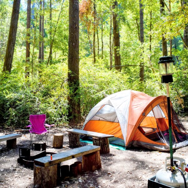 Camp Noyo camping