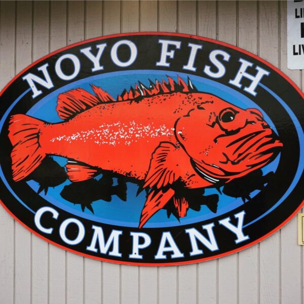 Noyo Fish Co