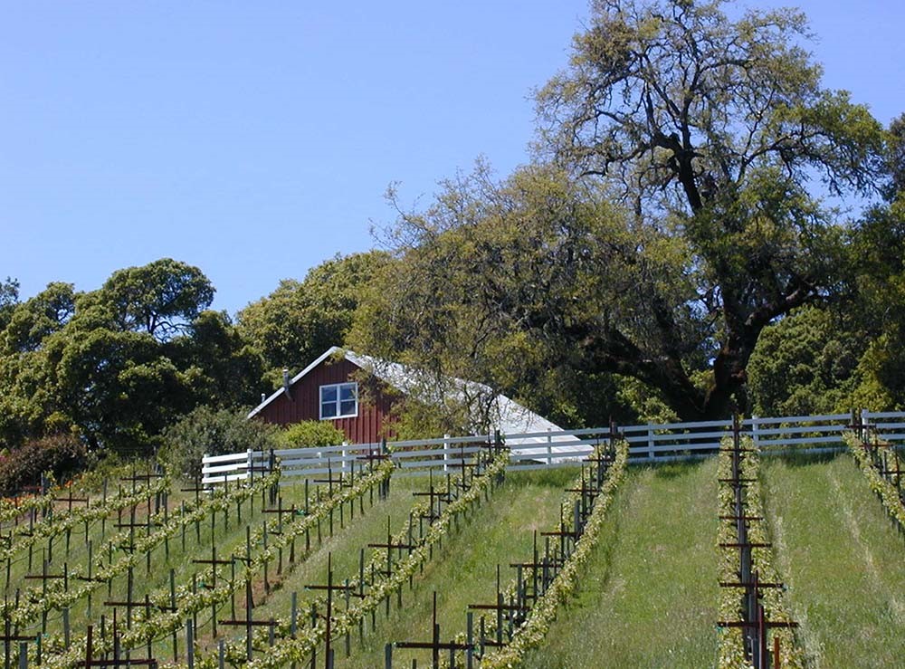 Le Vin Estate Winery & Vineyard
