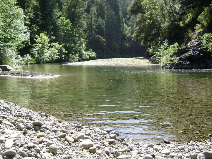 Navarro River
