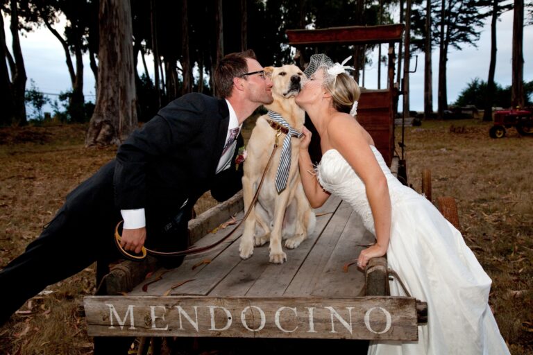 jperlman-rlutge-mendocino-coastal-weddings-10