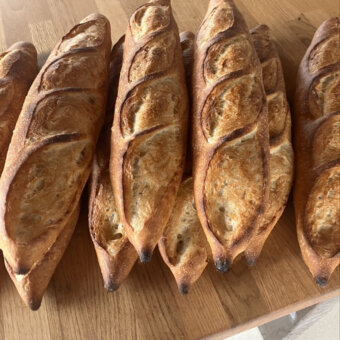 bakeries in Mendocino County.