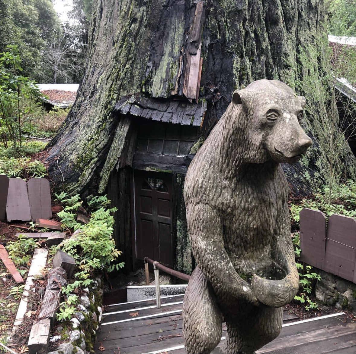 3 Retro Roadside Attractions- World Famous Tree House- @thevanpirechronicles