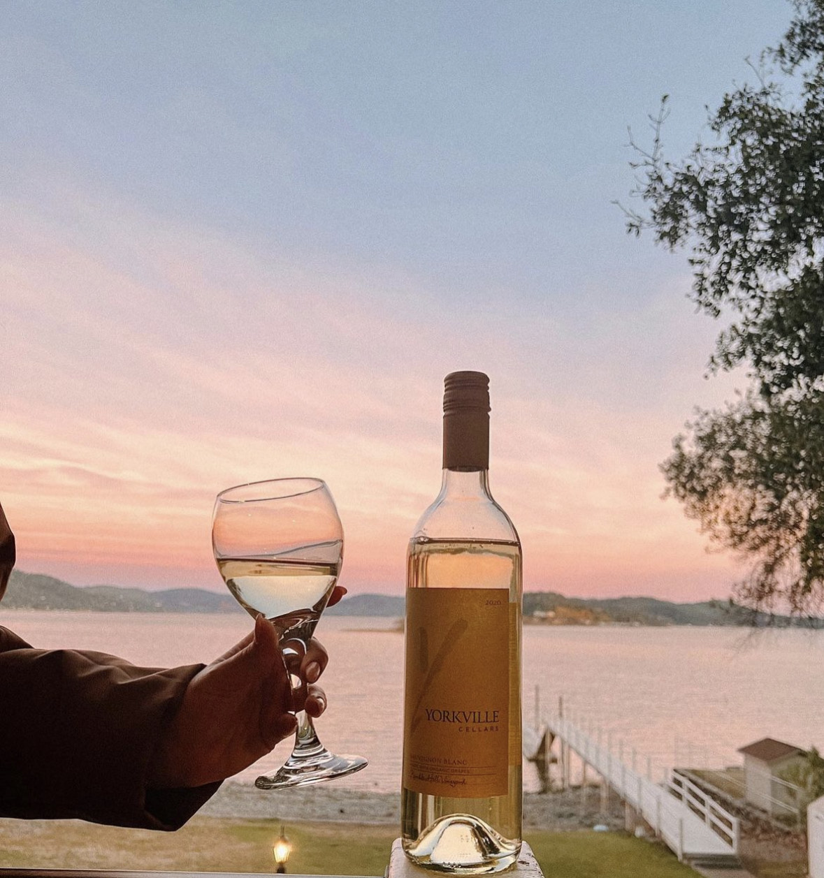 Top Shelf Wine in Mendocino County