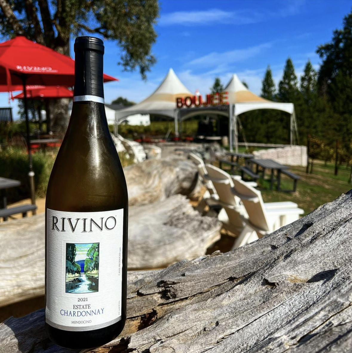 6 Wineries to Visit for an Authentic Mendocino County Wine Experience
