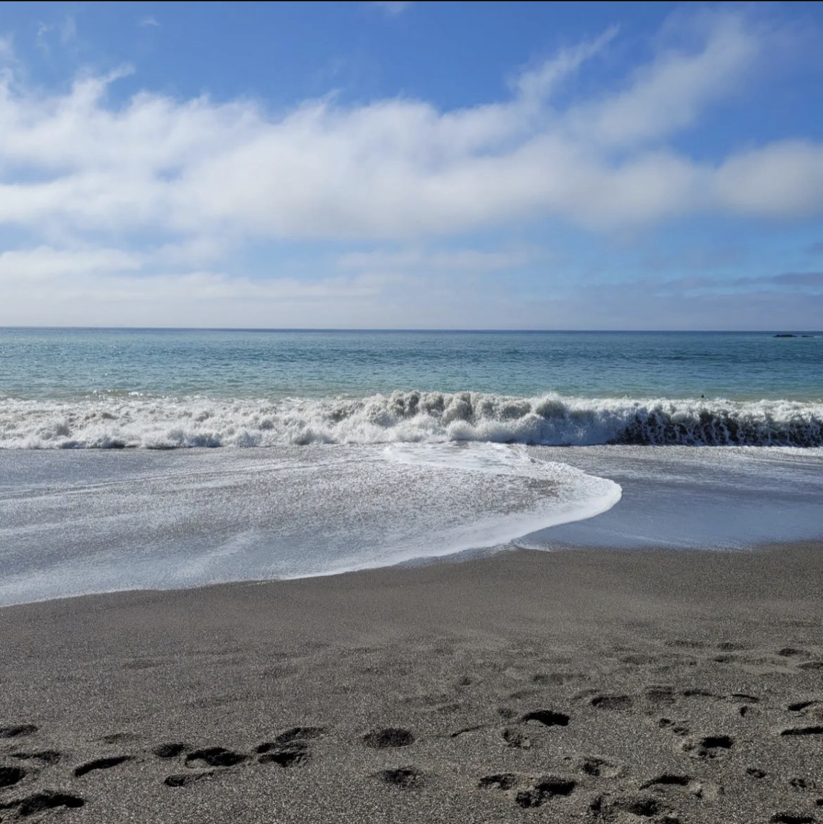 8 Fantastic Beaches- Navarro State Beach- @jennyjefner