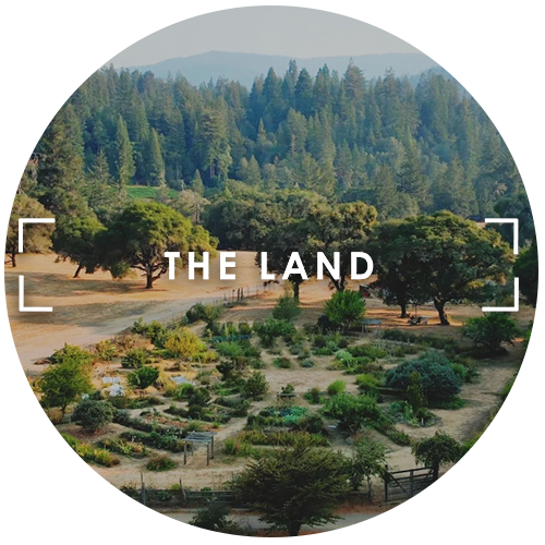 The Land Spiritual Meditation Retreat Center California Bay Area Logo