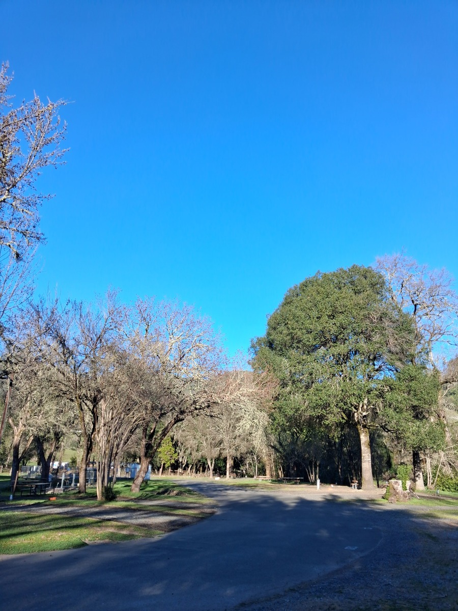 ridgewood-ranch-rv-park-&-campground--willits-ca-5