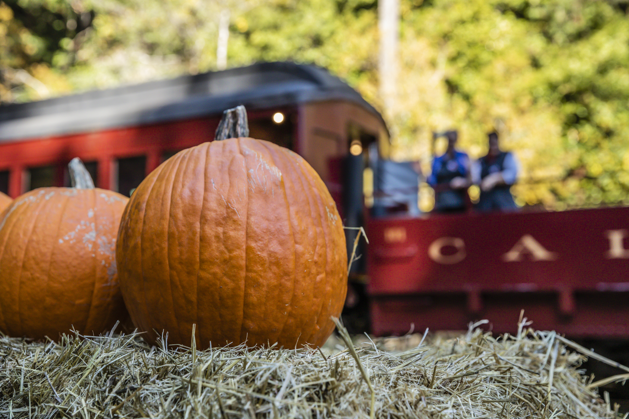Pumpkin-Train-Patch-with-Train (1)